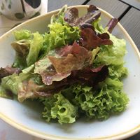 Salad vegan at Gasthof Post in Hellmonsoedt