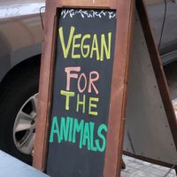  at Casa Bruja in Montevideo