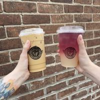   at North Lime Coffee & Donuts in Lexington