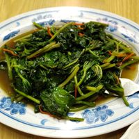 Stir-fry sweet potato leaves at Yuan Xiang Vegetarian Food 圆香素食馆 - Changi in Central Singapore