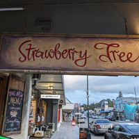  at Strawberry Tree in Kaikoura