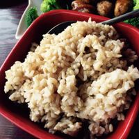 A side order of brown rice is enough for two. at Garden Fresh in Palo Alto