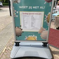 Vegan flavours: blood orange, lime, kiwi/mango, strawberry, lemon, mango, raspberry & pure chocolate  at IJssalon Matteo in Oisterwijk