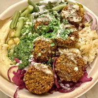 Falafel platter (includes pita, not pictured)  at Tamam - Upper East Side in New York City