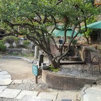 interior of location - historical garden at Suyeon Sanbang Tea House in Seoul