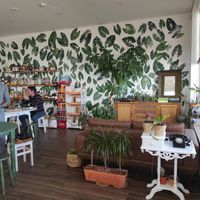 Inside at Orelha d'Elefante in Ponte De Lima