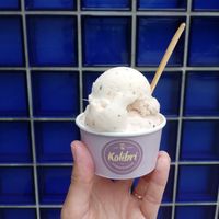  at Kolibri in Bregenz