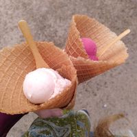 Amazing cone with appel-cinnamon ice and cassis at Kolibri in Bregenz