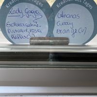   at Kolibri in Bregenz