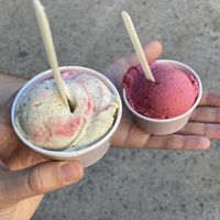 Brennessel mit Zwetschkensauce, Waldfrucht  at Kolibri in Bregenz