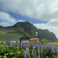   at Skool Beans in Vik