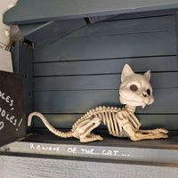  at Skool Beans in Vik