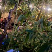   at Nook in Stari Grad