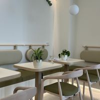   at Plant Power in Novi Sad