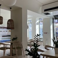   at Plant Power in Novi Sad