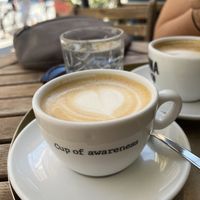   at Cafe Cokl in Ljubljana