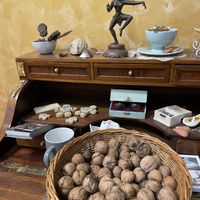   at Chocolate House in Ljubljana