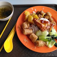 Favorites: chicken, potatoes, tofu at Origanics 启点 - Vegetarian - NUS The Deck in Northeast Singapore
