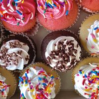 Beautifully delicious cupcakes  at Toluca Bakery and Cafe in Los Angeles