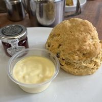 Cream tea for one with ‘Flotted’ cream and jam  at The Greenwood Tree in Lyndhurst