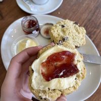 Fruit scone with ‘Flotted’ cream & jam  at The Greenwood Tree in Lyndhurst