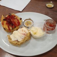 Fruit scone and flotted cream at The Greenwood Tree in Lyndhurst