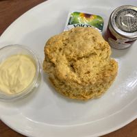 vegan scone with jam and clotted cream! at The Greenwood Tree in Lyndhurst