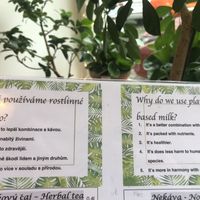   at SĪTÚ Coffee & Tea in Prague