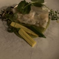 Springtouw  at Bree33 in Leiden