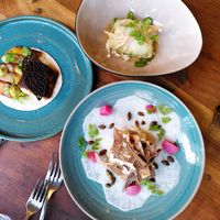 Taco, cannelloni, carpaccio at Bree33 in Leiden