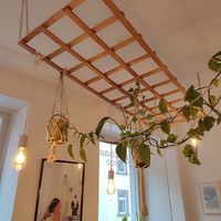  at Beb & Bene in Freiburg