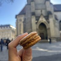 One vegan option available, caramel coco  at Ladurée in Lausanne