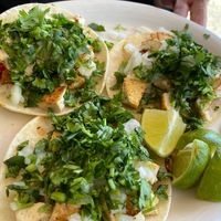 My sister ordered tacos at Tommy's Salsa in Novato