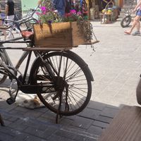   at Mandala in Essaouira