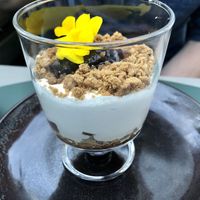 Poached pear tiramisu with saffran gel  at Tabula Rasa in Colmar