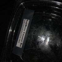 Gojiberry coconut raw vegan cake   at Juice N Blendz in Massapequa