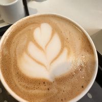   at Seed and Soul in Dingle