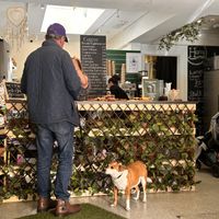   at Seed and Soul in Dingle