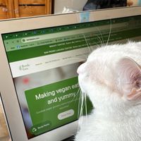   at Berde Eats in Laguna