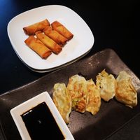Veggie dumplings and spring rolls at Tloft in Ljubljana