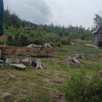 Another seating area 🪑 at Das Rodelhaus in Braunlage