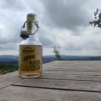 herbal lemonade and the epic view ⛰️ at Das Rodelhaus in Braunlage