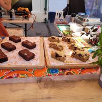  at The Hedgerow Hound in Plymouth