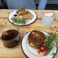   at The Hedgerow Hound in Plymouth