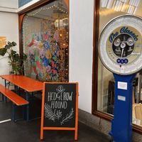 The Hound  at The Hedgerow Hound in Plymouth