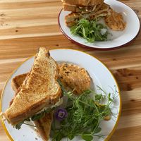 Palembang toastie (10000% recommend) at The Hedgerow Hound in Plymouth