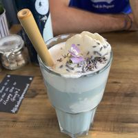 Plymouth iced fog at The Hedgerow Hound in Plymouth