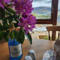 Decoration and view at The Beehive in Keel