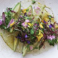   at Assisted by Nature in South West London