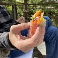 Vegan spring roll with almond sauce   at Bee Loved Kitchen in Sioux Falls